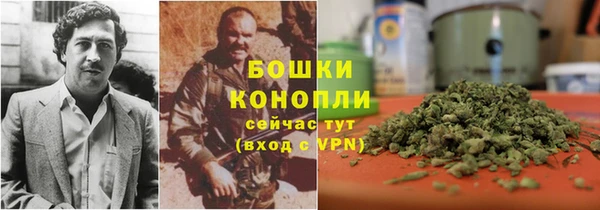 дурь Алексеевка