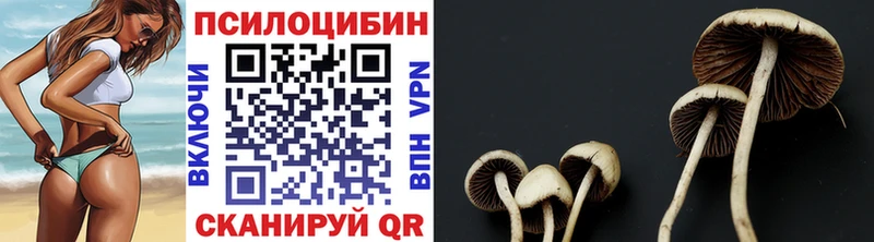 цена   Иннополис  Галлюциногенные грибы прущие грибы 