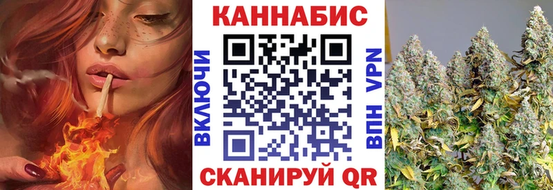 shop какой сайт  Иннополис  Шишки марихуана сатива 